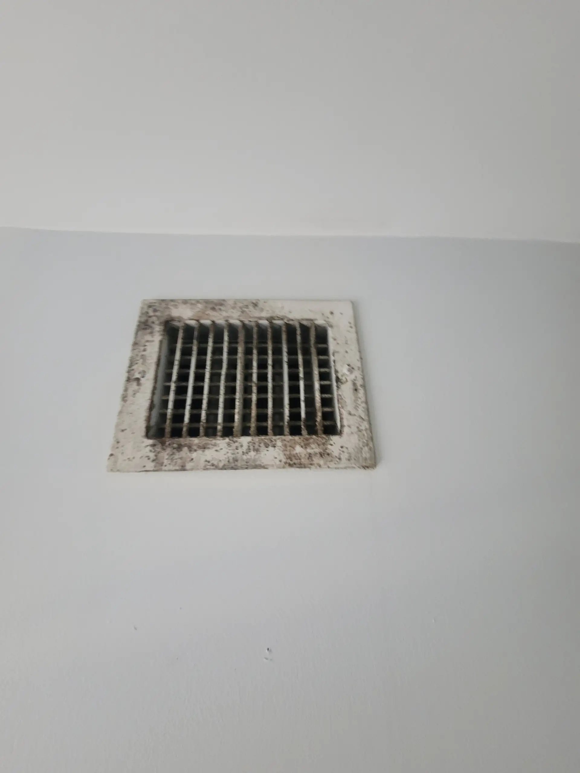 Mold growth discovered in HVAC vent during South Florida home inspection